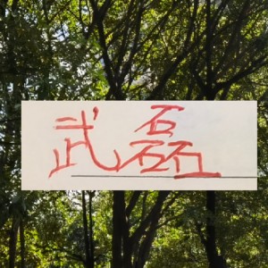 海港冬训海报 武磊跟LEO占C位 梅伦多跟加布里不在之中